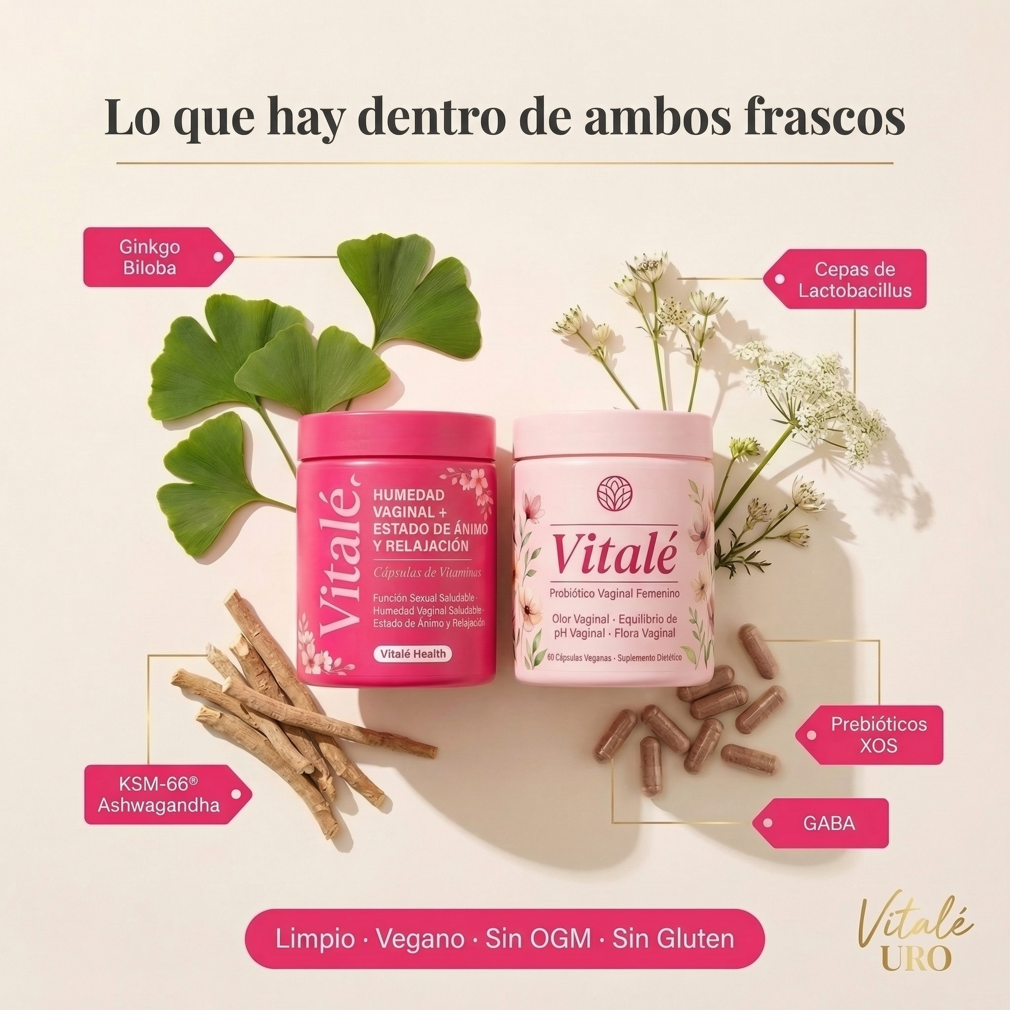 Paquete Vitalé URO Wellness: probióticos + hidratación y estado de ánimo